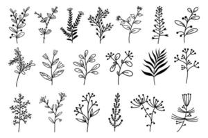 conjunto de hierbas y flores de elementos vectoriales. plantas dibujadas a mano. colección de bocetos botánicos. plantas medicinales de campo con hojas, bayas, espinas, inflorescencias. silueta de la hierba. monocromo. vector