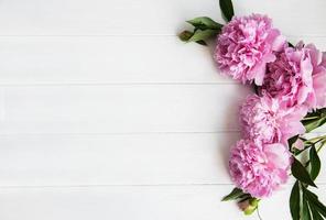 Pink peony flowers photo