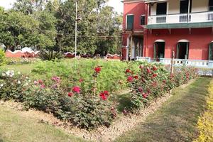 jardín con casa foto