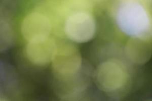 Green bokeh background from nature forest photo