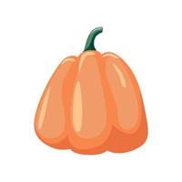 Calabaza colorida sobre ilustración de vector de fondo blanco.