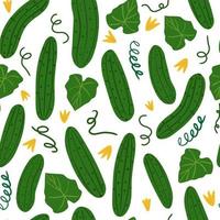 Cucumber seamless pattern on white background. Vegetable wallpaper. vector