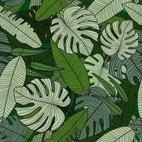 Rainforest seamless pattern. Modern exotic tropical palm leaves backdrop. vector