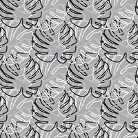 Monochrome monstera leaves seamless pattern in outline style. vector