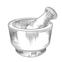 Hand drawn mortar and pestle isolated on white background. vector