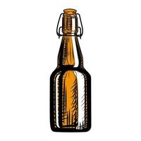 Craft beer bottle. Engraving style. Hand drawn illustration isolated vector