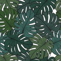 Monstera leaves seamless pattern on white background. vector