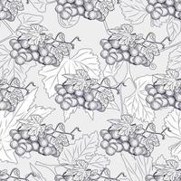 Hand drawn grape bunches and leaves seamless pattern. vector