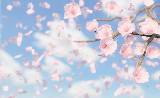 background of falling cherry blossoms and petals photo