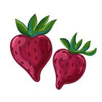 Vector illustration fruit strawberry hand draw style. Vector painting.