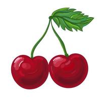 Vector illustration fruit cherries hand draw style. Vector painting.