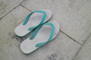 a pair of green and white sandals photo