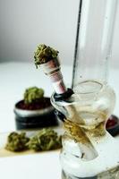 Close-up of medical marijuana buds on white background photo