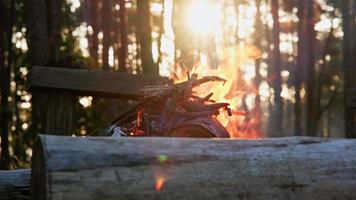 una hoguera con chispas en el campamento del bosque al atardecer. video