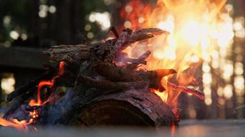 un feu de joie avec des étincelles dans le camping forestier au crépuscule. video