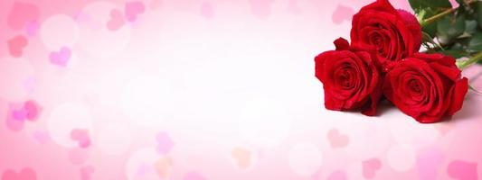 Beautiful red rose. Congratulatory background by St. Valentine's Day photo