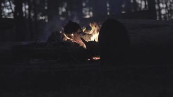 fogueira com faíscas no acampamento da floresta à noite.