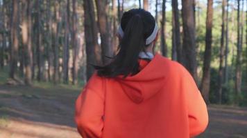 mujer atlética corriendo por un sendero forestal. corredoras corriendo en la naturaleza por la mañana. entrenamiento concepto de estilo de vida saludable. video