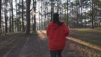 donna atletica che corre sul sentiero nel bosco. corridori femminili che corrono in natura al mattino. concetto di stile di vita sano di allenamento. video