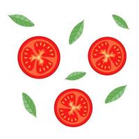 Slices of tomato with herbs on a white background vector