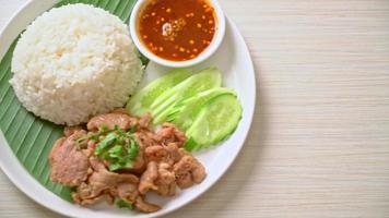 grilled pork garlic with rice with spicy sauce in Asian style video