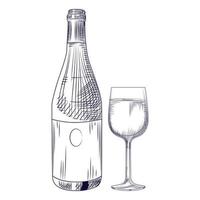 botella de vino y copa dibujadas a mano. objetos aislados
