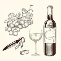 conjunto de vino. dibujado a mano de copa de vino, botella, corcho de vino, sacacorchos y uvas. vector