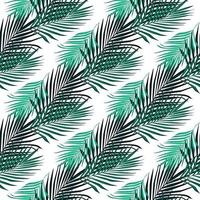 Abstract exotic fern leaf seamless pattern. Tropical palm leaves pattern. vector