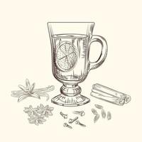 Hand drawn mulled wine vector illustration. Mulled wine glass