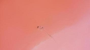 Aerial drone top down photo of a natural pink lake Kuyalnik in Odessa, Ukraine. Lake naturally turns pink due to salts and small crustacean Artemia in the water. This miracle is rare occurrence