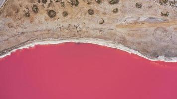 Drone aéreo foto de arriba hacia abajo de un lago rosa natural y la costa de Genichesk, Ucrania. el lago se vuelve rosado naturalmente debido a las sales y a los pequeños crustáceos artemia en el agua. este milagro es raro.