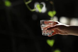 manos de mujer aisladas, sosteniendo un vaso de agua sobre un fondo oscuro con hojas verdes. los rayos del sol caen sobre el cristal. mañana saludable foto