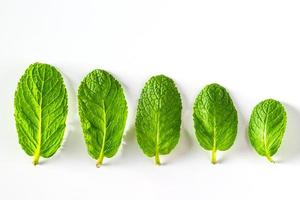 Set of green peppermint leaves isolated on white background. photo