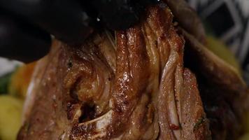 Appetizing Close Up Macro Footage Cooked Meat. video