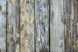 Wood texture background. background wood texture, old wood texture for background den or for business design. top view. Wood plank texture. photo
