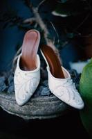 Elegant white wedding shoes photo