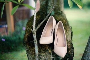 Luxurious brown wedding shoes photo