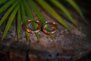 Wedding rings symbol love family. A pair of simple wedding rings photo
