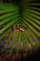 anillos de boda símbolo amor familia. un par de anillos de boda sencillos foto