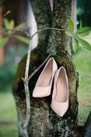 Luxurious brown wedding shoes photo