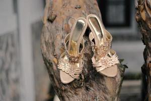 Luxurious brown wedding shoes photo