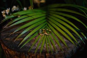 anillos de boda símbolo amor familia. un par de anillos de boda sencillos foto