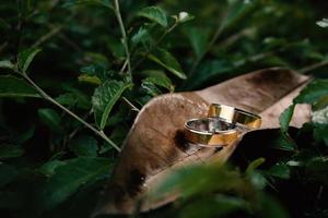 Wedding rings symbol love family. A pair of simple wedding rings photo