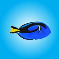 illustration dory fish for child's lesson or addition to coloring books vector