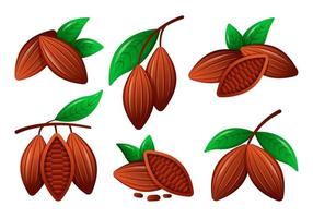 colección de vectores, conjunto de granos de cacao con hojas. alimentos orgánicos saludables. ilustración plana para web sobre fondo blanco. vector