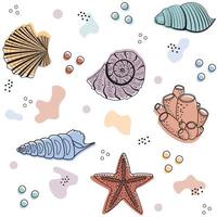 A pattern of seashells of different colors on a white striped background vector