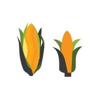 Corn Colorful Vector Art