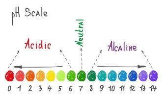 Horizontal pH scale for measuring acid alkaline balance. Chemical value test. Doodle infographics with indicator chart. Hand drawn vector illustration