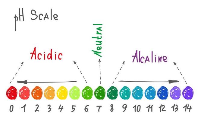 PH scale chart, acid balance of nutrition measure meter and food