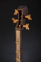 ancient Asian stringed musical instrument on black background with backlight. tuning peg photo
